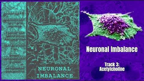 1xDxTxHxPx - Neuronal Imbalance [Debut Album] (Cellnoise)