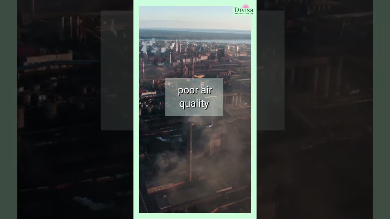 World Environment Day 2023 | Divisa Store