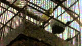 VID 20130816 000601