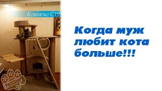 Игровой комплекс для кошек Игровой комплекс для кошек