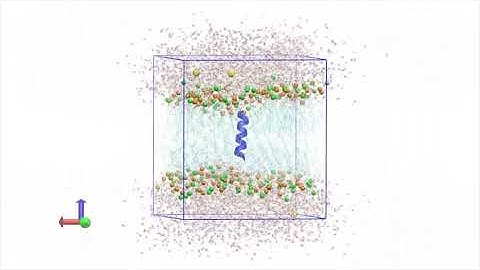 Simulation practice - GROMACS Tutorial 2: Membrane Protein: KALP15 in DPPC