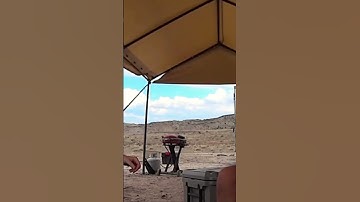 What were they eating #shorts #twitch #fossils #scienceoutreach #education #science