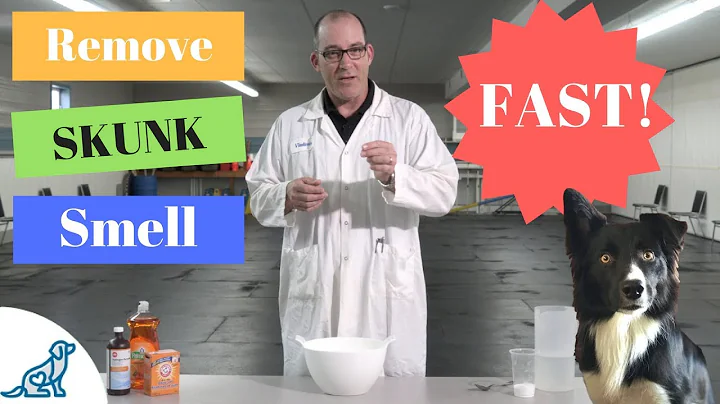 Remove Skunk Smell From Dog- Using Household Products