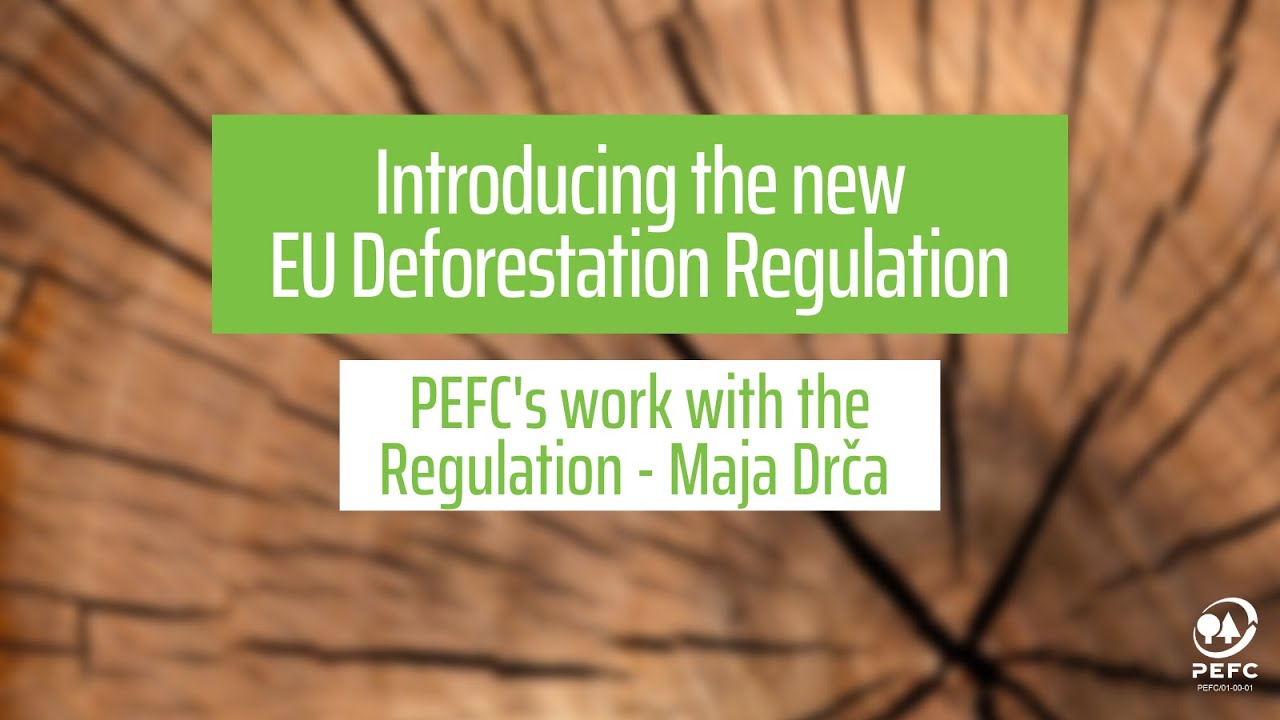 PEFC’s work with the new EU regulation on Deforestationfree products