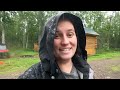 Rainy summer day at the cabins  harvesting yarrow clover  alder