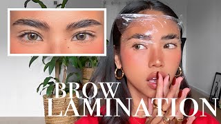 NATURAL! FLUFFY! BUT KINDA SCHNATCHED? lol 🐛👁👄👁🐛 my DIY brow lamination :)))