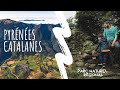 Visite au cur du parc naturel rgional des pyrnes catalanes