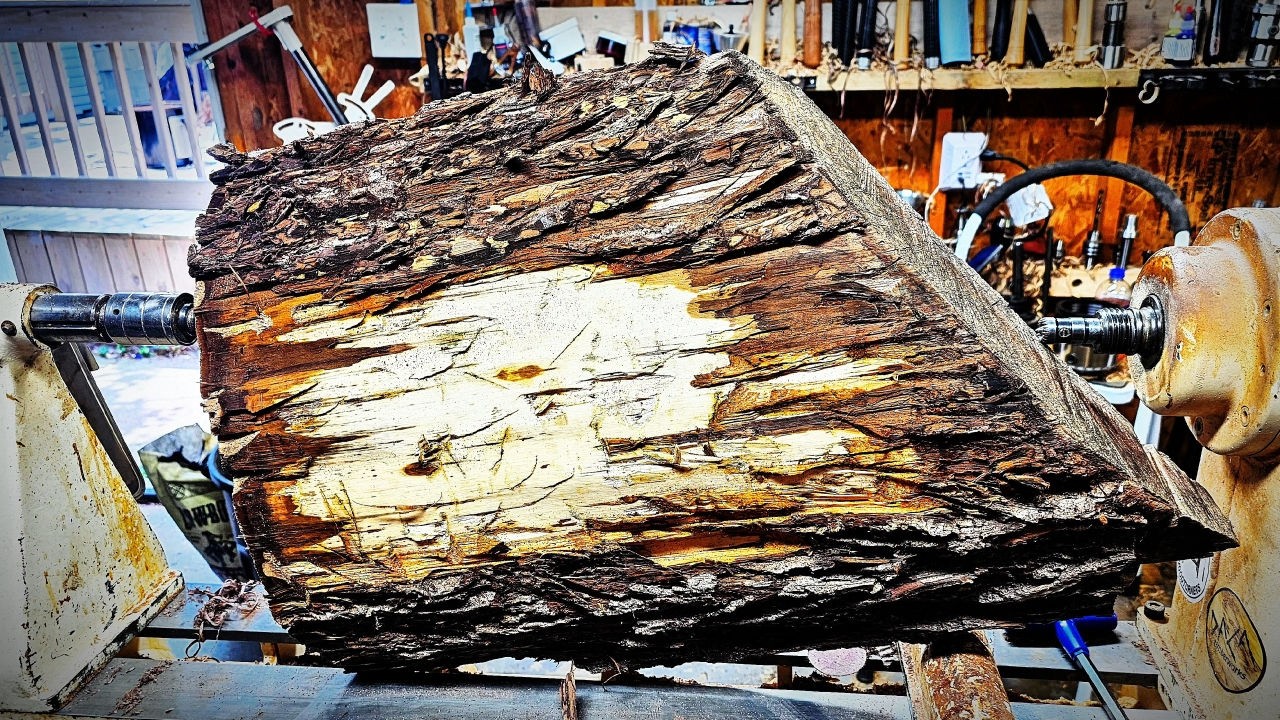 Is Black Walnut Sapwood Worthless? Let's Find Out!