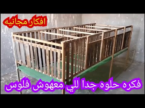 شاب عبقري عمل بطاريه للارانب ببلاش اعمل زيه لو انت عايز تشتغل هتشتغل