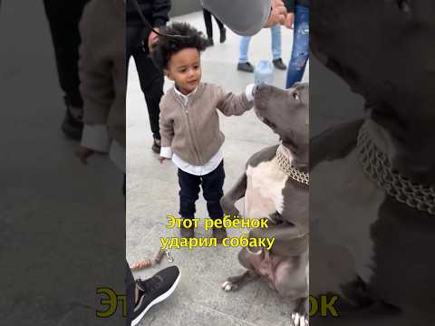 🧒Ребенок Ударил Собаку😡