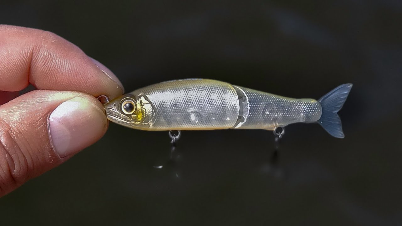 Bass Fishing With World's Smallest Glidebait Swimbait ! (Gan Craft Jointed  Claw 70) 