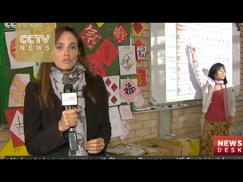 Mandarin Chinese to be introduced into school curriculum in S. Africa