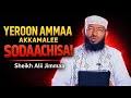 Yeroon Amma Akkamalee Nama Sodaachisa Sheikh Alii Jimmaa