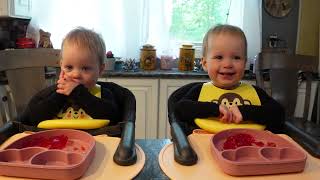 Twins try jello jigglers