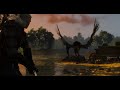 witcher 3 live hunt #witcher