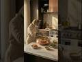 A Cat Cooked Biryani For 100 People 😋❤️ | A Story Of Kindness 🌟 #ai #aishorts #cooking #cat #shorts