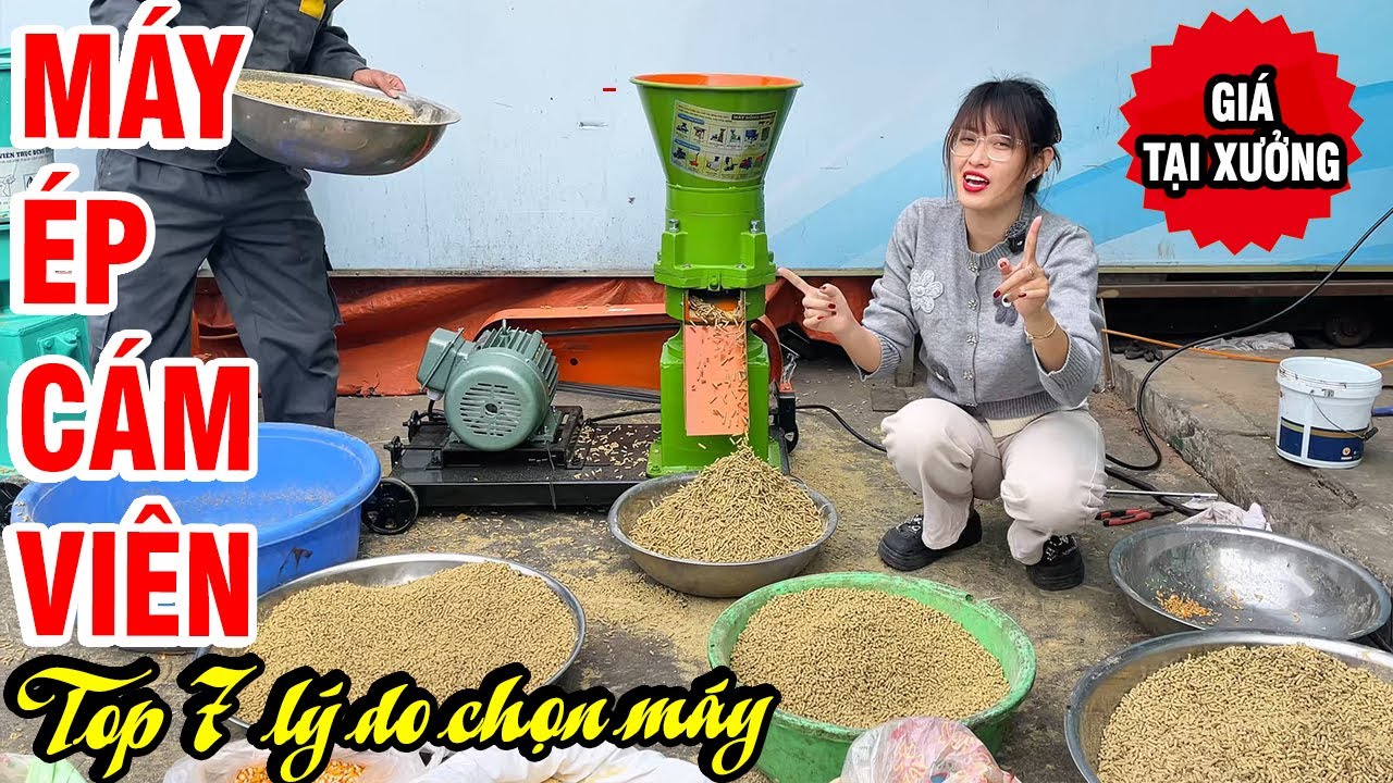 🔥 7 Lý Do Các Trang Trại Nên Chọn Máy Ép Cám Viên S200 4 Lô| Báo Giá Mới Nhất 2026