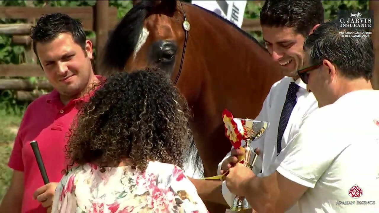 Bergamo 2023 Arabitalia Breeders' Show   Class JFC