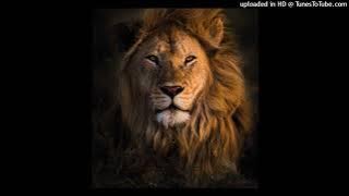 Damian Jr. Gong Marley - Welcome to Jamrock ( Instrumental )