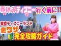 【完全攻略】ディズニーオタクが教える！東京ディズニーランドまるわかりガイド