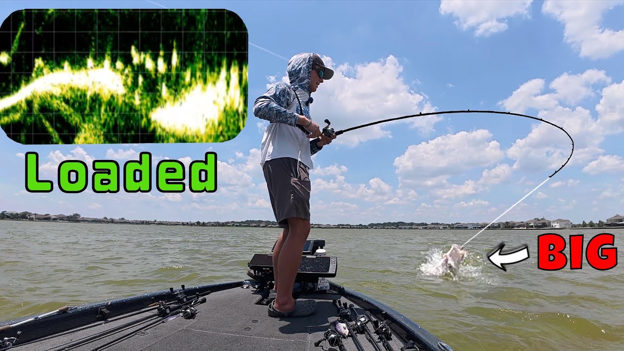 The Most LOADED Bass Fishing Spot Ever?