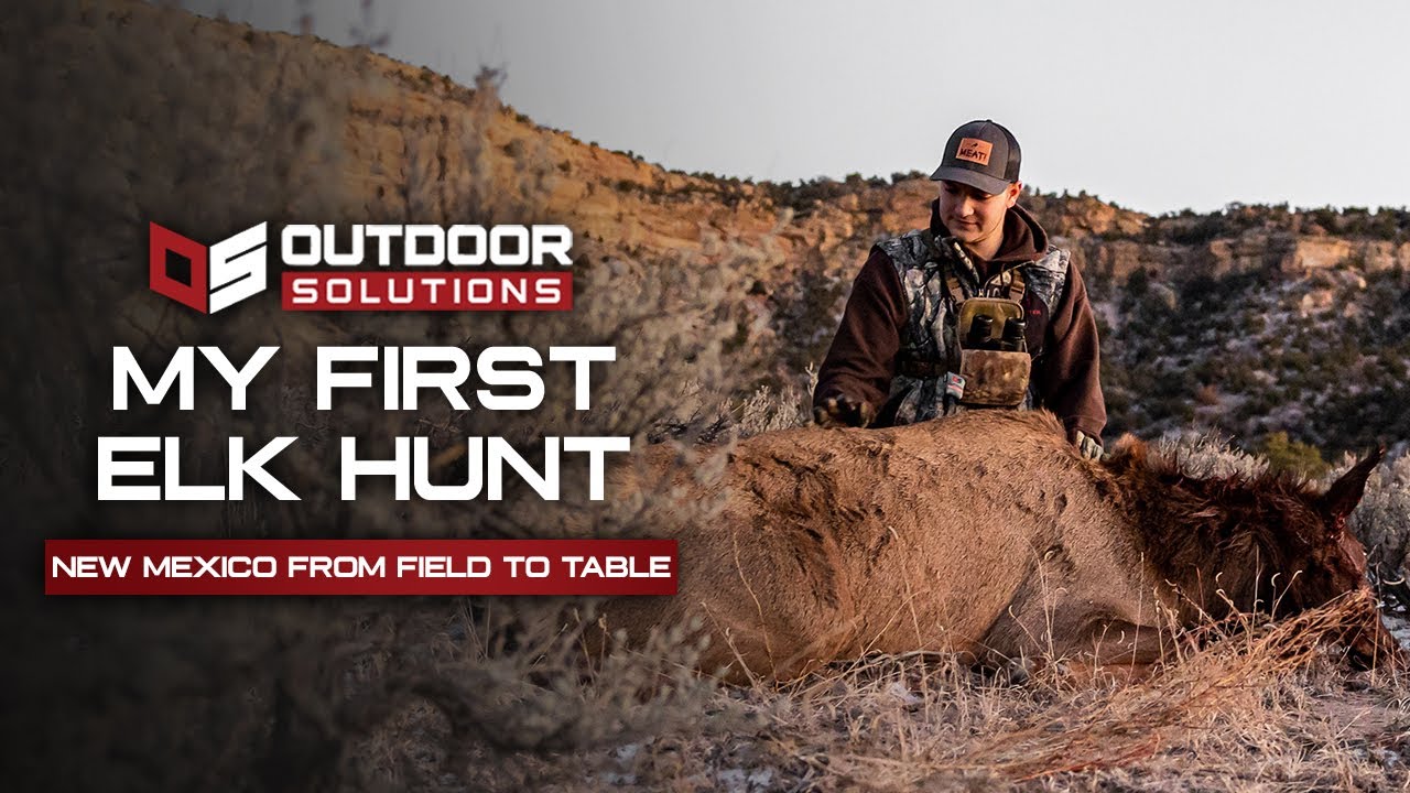 First Public Land Elk Hunt From Field to Table YouTube