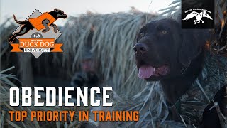 Teaching Your Pup to Sit and Place | Duck Dog University Ep.6