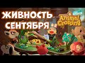 Живность СЕНТЯБРЯ (Жуки, Рыбы, Глубоководные) в Animal Crossing: New Horizons