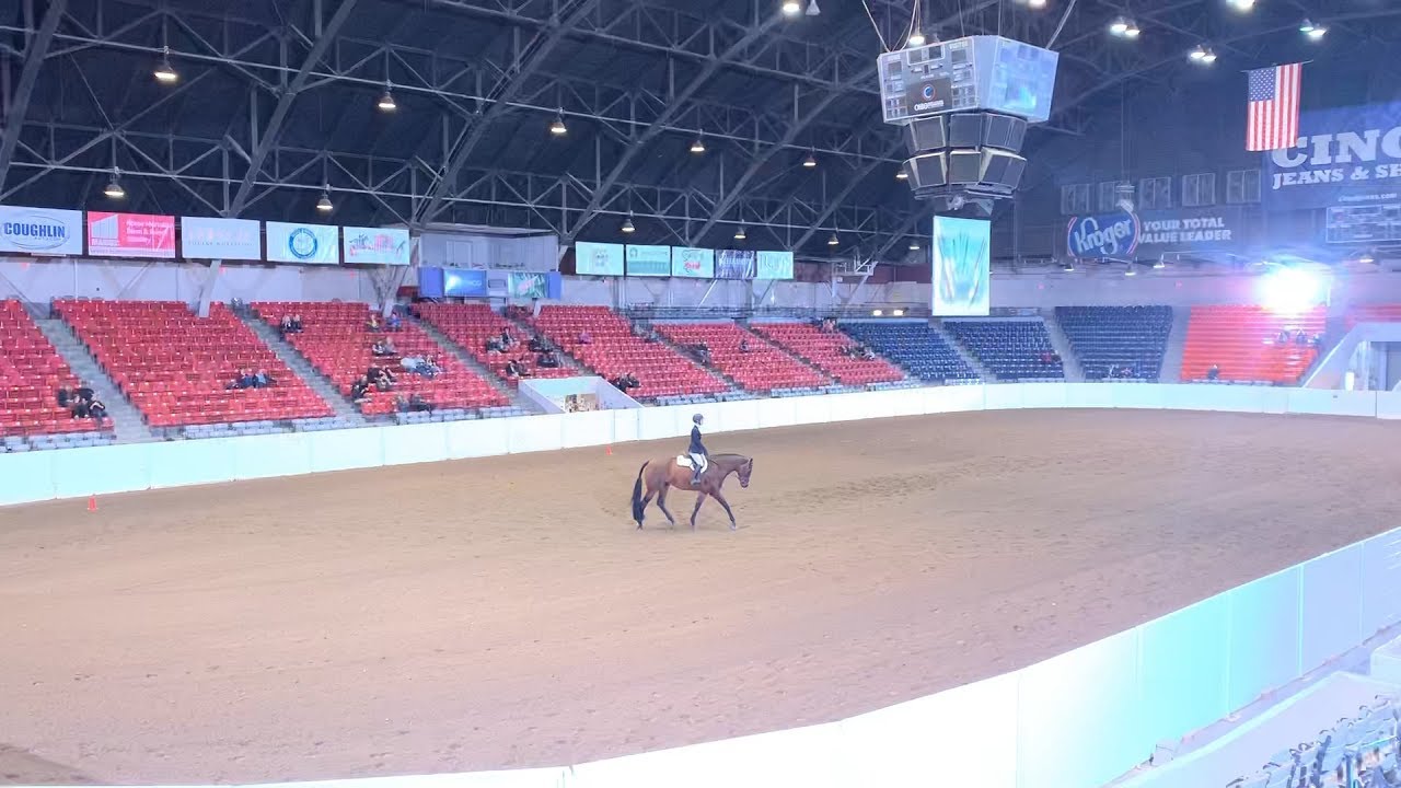 AQHA Congress Experience Vlog EquestrianBliss YouTube