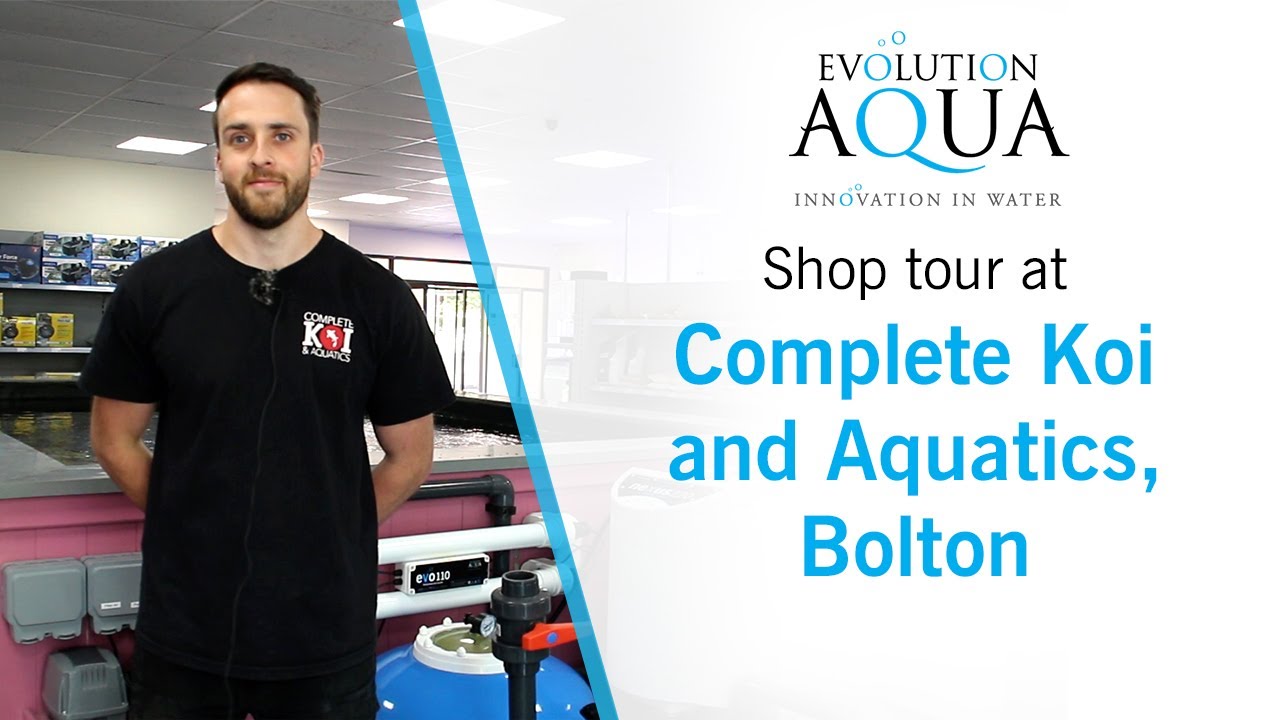 Shop tour at Complete Koi and Aquatics - YouTube