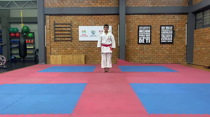 PAIKU (1st round) NICOLAS GAMBOA INTERNATIONAL SAN...