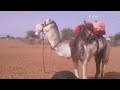 تراث بادية حمر تراث بادية حمر