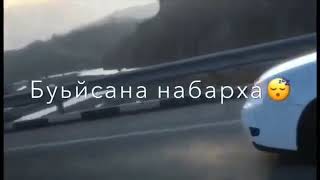 Аьржачу буьйсанна набарх вуьлу со