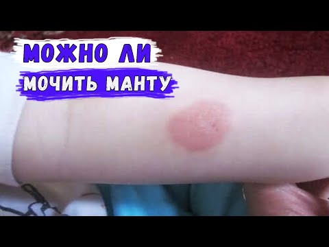 Можно ли мочить манту