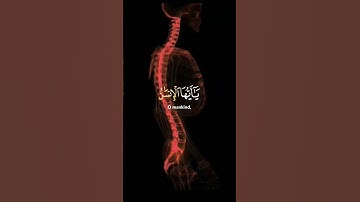 يَاأَيُّهَا الْإِنْسَان 🧡عبد الباسط عبد الصمد تلاوة خاشعة حالات واتس اب دينية مؤثرة 🍁