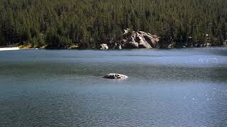 Top 10 Maryland Fishing Destinations