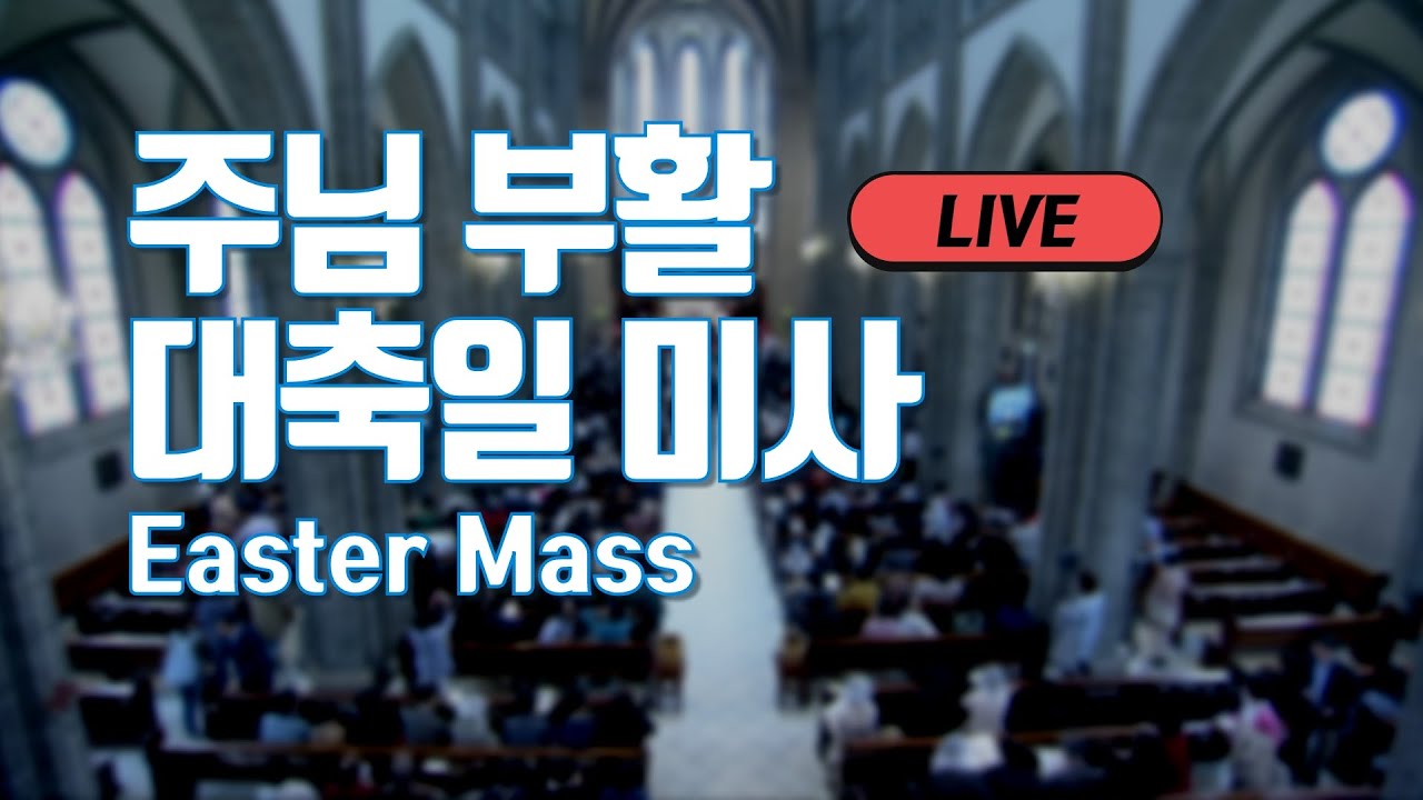 2019 주님 부활 대축일 미사_서울대교구 주교좌 명동대성당 LIVE