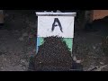 COMO MANTENER LAS COMENAS  SUPER POBLADAS EN TIEMPO DE ESCASEZ #apicultura