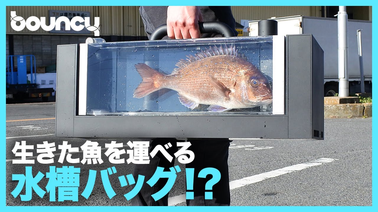 引っ越し処分❕森正、魚オブジェ4点セット、1万円❕ YouTube