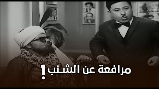 30 يوم في السجن | مرافعة كاملة عن الشنب 😂👀