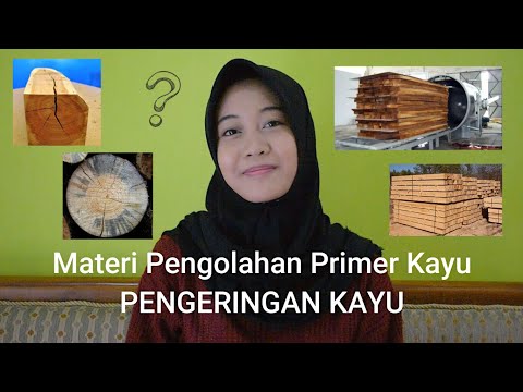 Video: Pengeringan kayu di rumah: jenis kayu, teknologi pengeringan, metode, waktu pengeringan dan saran dari pengrajin rumah