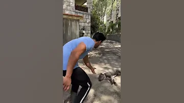 زورو يصدم طه اسعد 