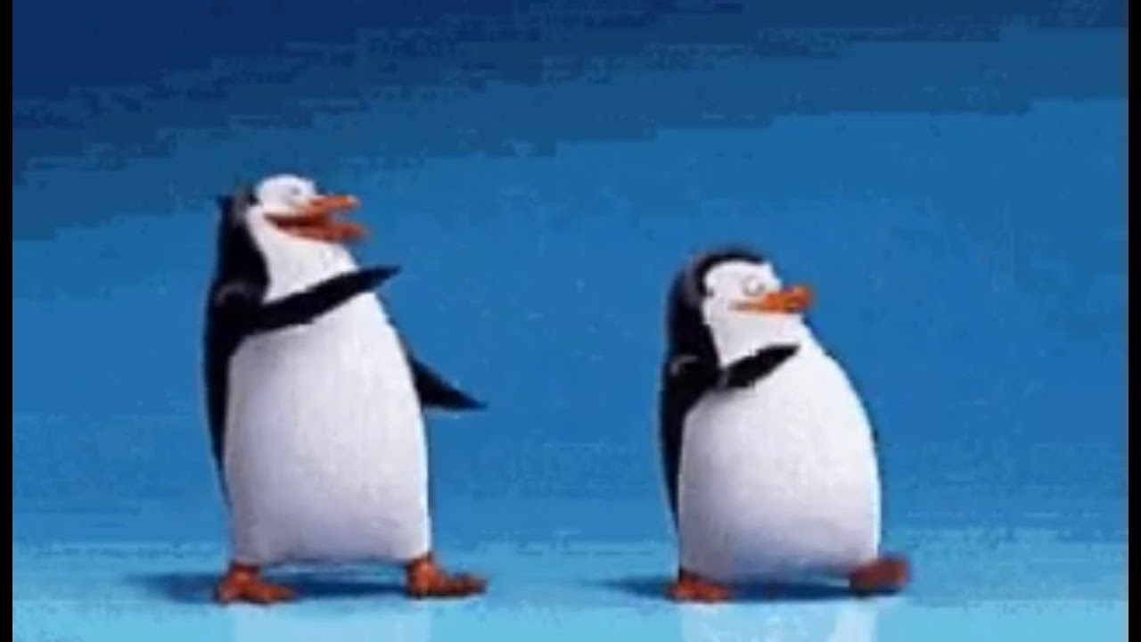 Los pinguinos tienen rodillas