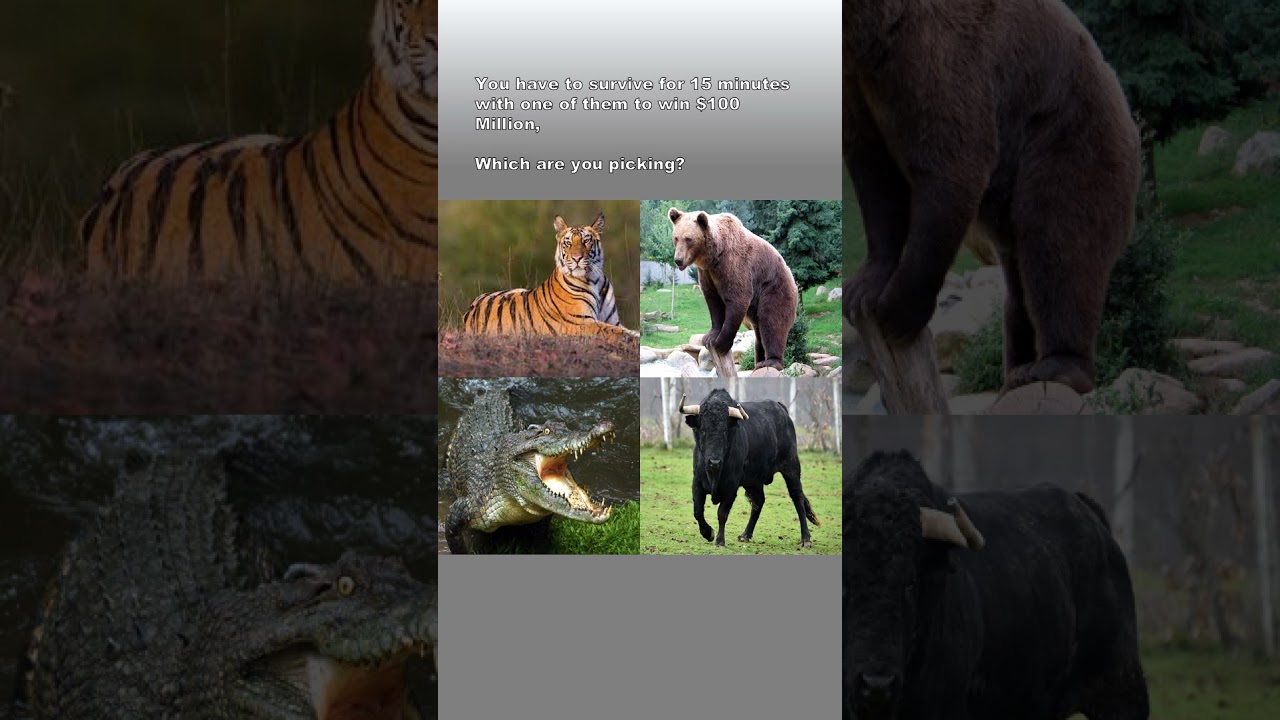 You have to survive for a Million dollars, which one do you pick ? #shorts #animals