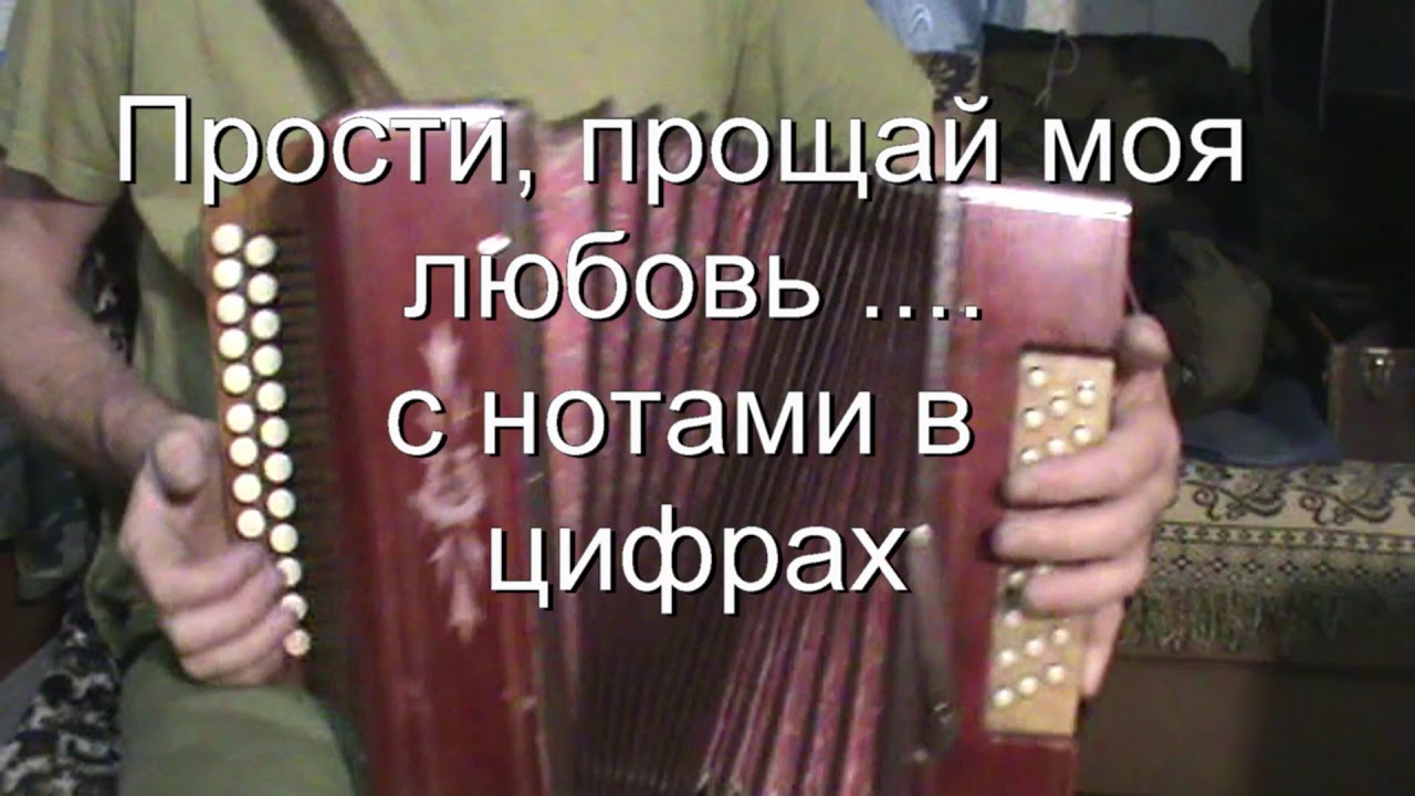 мельница прощай табы. павел сычев игра на гармони. дворовые гитаристы. прости прощай школа моя под гитару. прости прощай привет аккорды на гитаре.