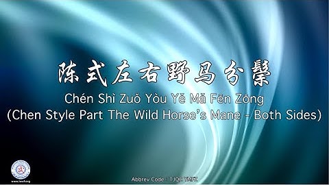 Chén Shì Zuǒ Yòu Yě Mǎ Fēn Zōng TJQC YMFZ  (Chen Style Part the Wild Horse’s Mane)