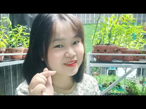 Video E TRANG CHIA SẺ PHI ĐIỆP ĐẸP 0963153061 - youtube
