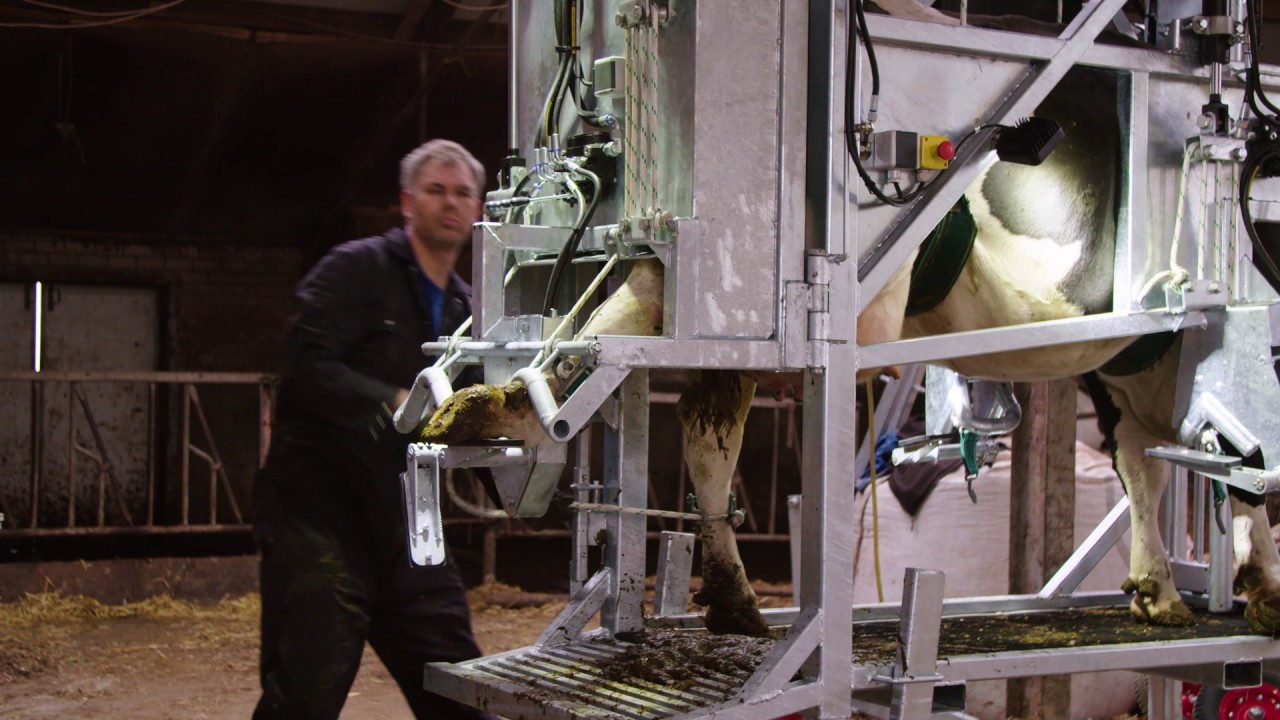 Henken hydraulische Klauwbekapbox type H Klauenpflegestand Hydraulic crush