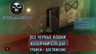 Marvel's Spider Man | Все Черные Кошки | Кошачьи следы | Трофей /  Достижение