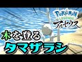 今まであなたは木を登るタマザラシを見たことがありますか?【ごまちゃん切り抜き】【ポケモンLEGENDSアルセウス】